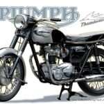 Triumph Thunderbird